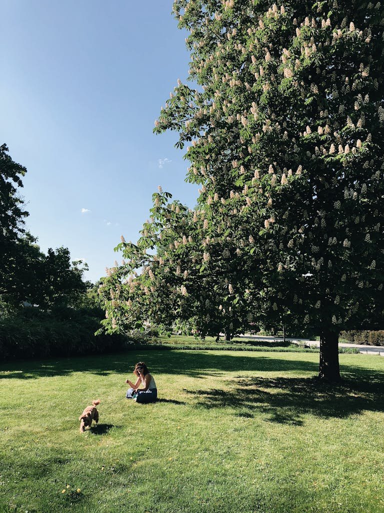 A peaceful scene of a woman and dog enjoying a sunny day in a lush green park under a blooming tree.