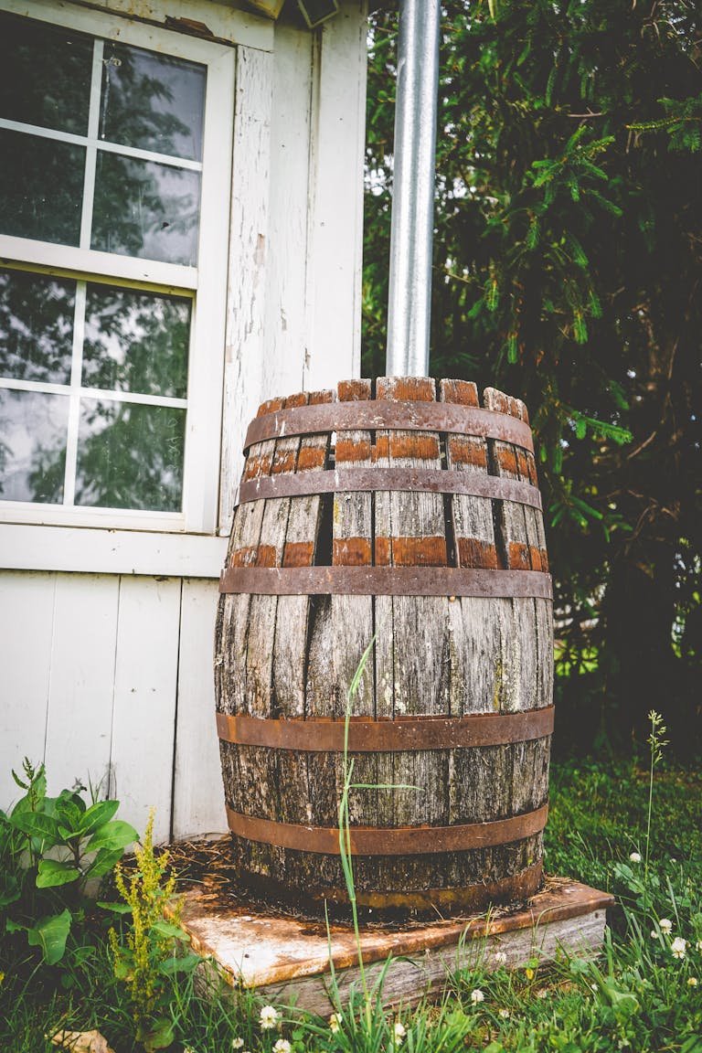 Vintage wooden barrel with metal bands beside a garden shed, surrounded by greenery.